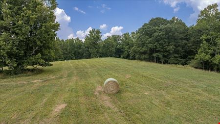 CHANDLER BRIDGE RD 719 ACRES