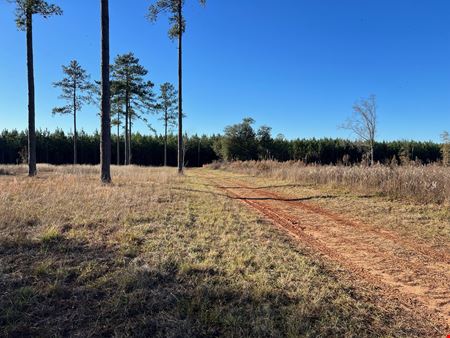 Lily Pad Ranch 1,472± Acres in Northwest Florida – Premier Recreational & Timber Investment Tract