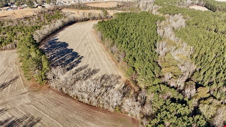 Johnston County 50 ± Acres on Hwy 301