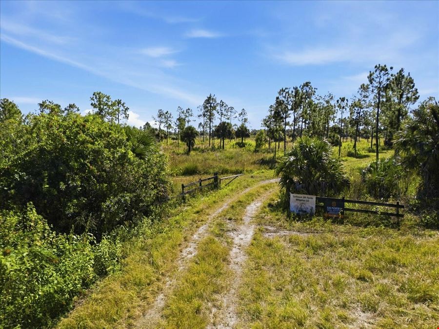 Big Cypress Preserve