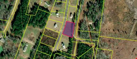 VacantLand space for Sale at Colleton County, SC Manufactured Housing Land/Home Site or Workforce Housing Multifamily Site. NZ = No Zoning Meaning Your Blank Slate. in Ruffin