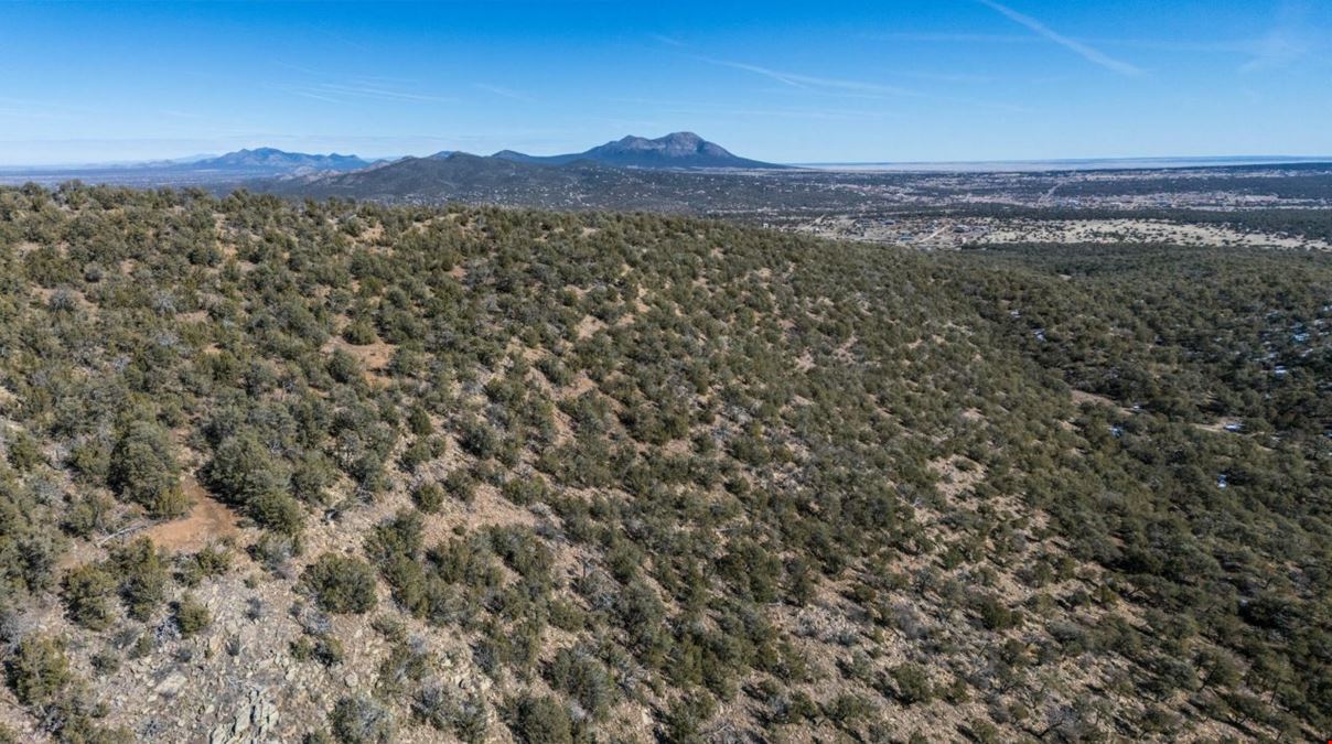 201 Pinon Trail