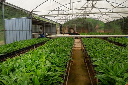 Turnkey Agricultural Operation w. Eco Tourism Potential @ Hacienda Montesol - For Sale