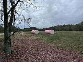 Commercial Land for Sale