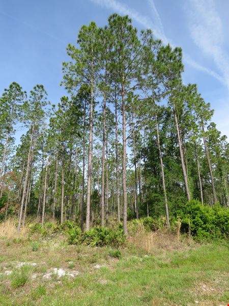 Otter Creek Farm & Recreational Tract
