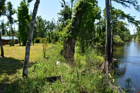 22 ± Acres on Econfina Creek with Home