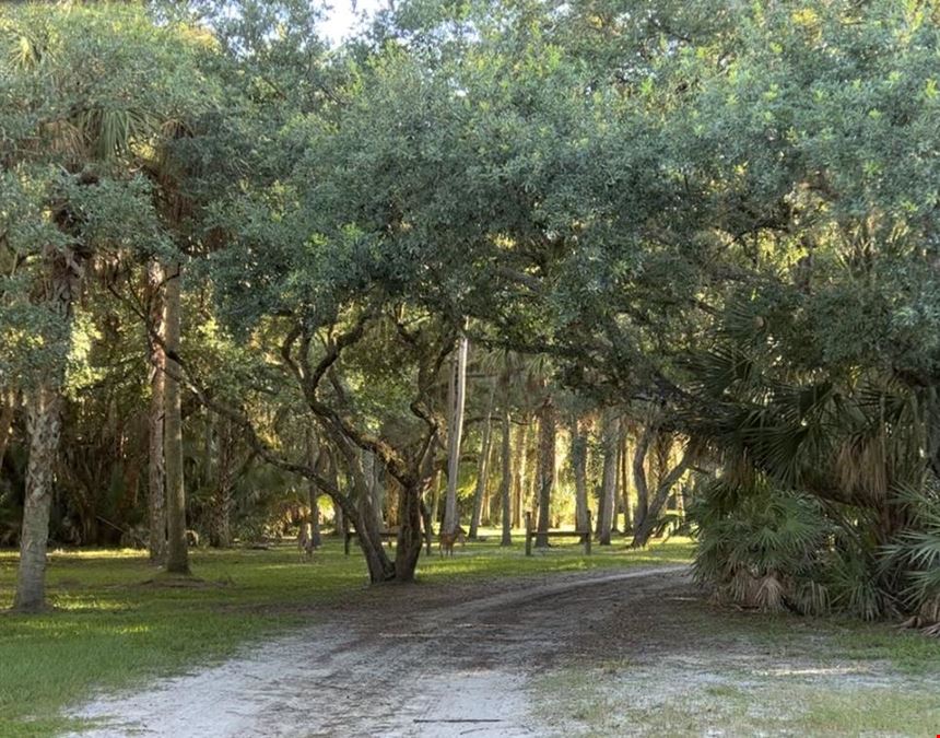 Palm Hammock Preserve
