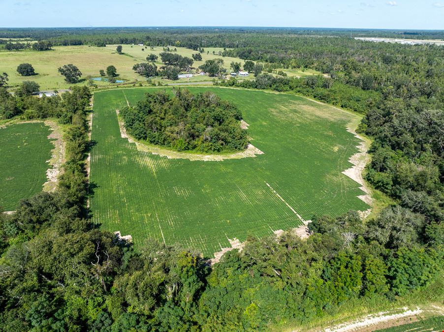 Hamilton County 40 Acre Farm and Recreation