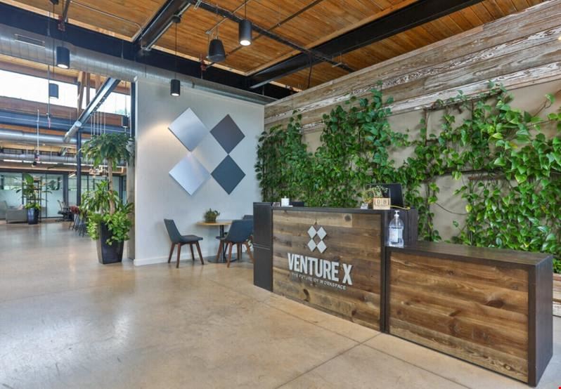 Venture X - Greenville - Plush Mills