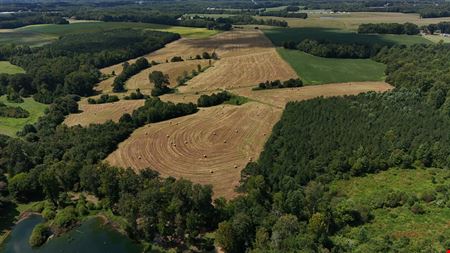 Moffitt 123 Acre Development Tract