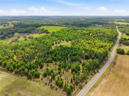 VacantLand space for Sale at Spring Lake Reserve Ranch in Brooksville
