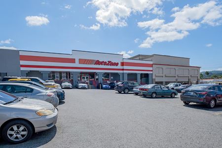 Retail space for Rent at VILLA DEL CARMEN SHOPPING CENTER in CAGUAS