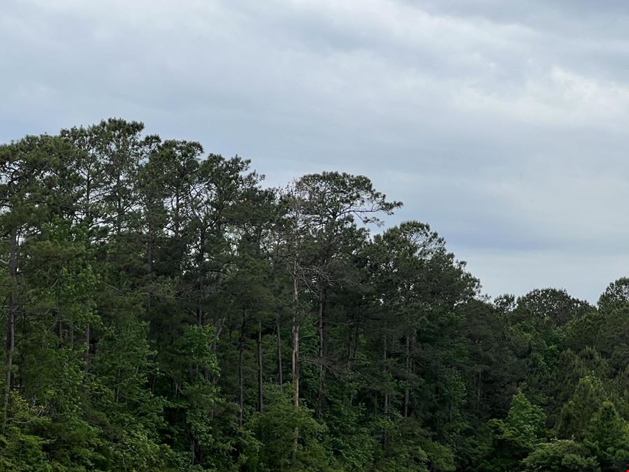 32 Ac Betts Rd