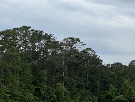 VacantLand space for Sale at 32 Ac Betts Rd in Murrells Inlet