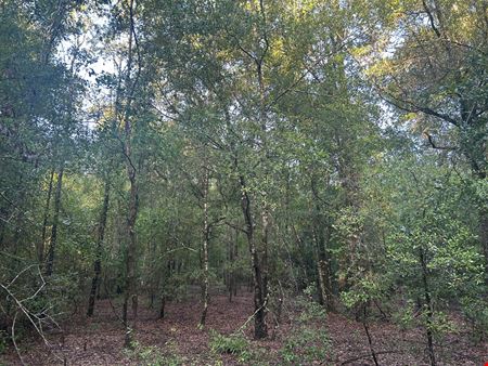 Fort White 58.7 Acres