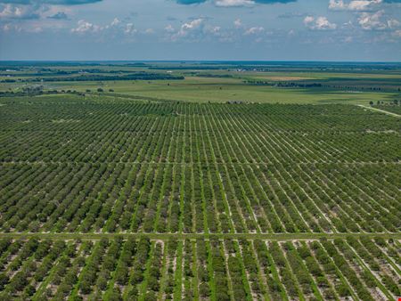 VacantLand space for Sale at Holly Hill Grove in Sebring