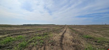 5-Acre Homesite on Golden Bough Road | Privacy & Convenience Lot 2