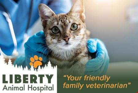 Other space for Sale at Liberty Animal Hospital For Sale in Salem