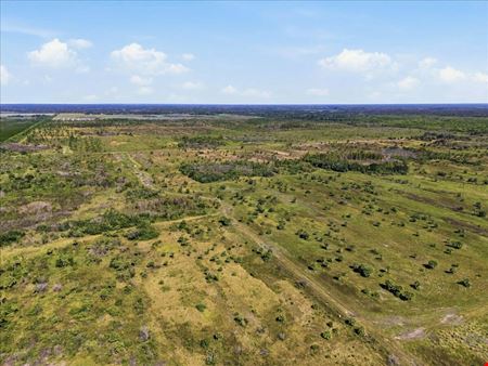 Big Cypress Preserve
