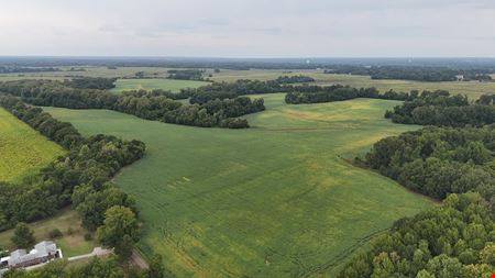Commercial space at Singleton Pkwy Land in Millington