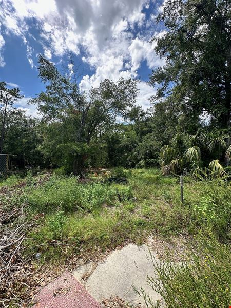 2.5+ Acre Commercial Land on Hwy 441