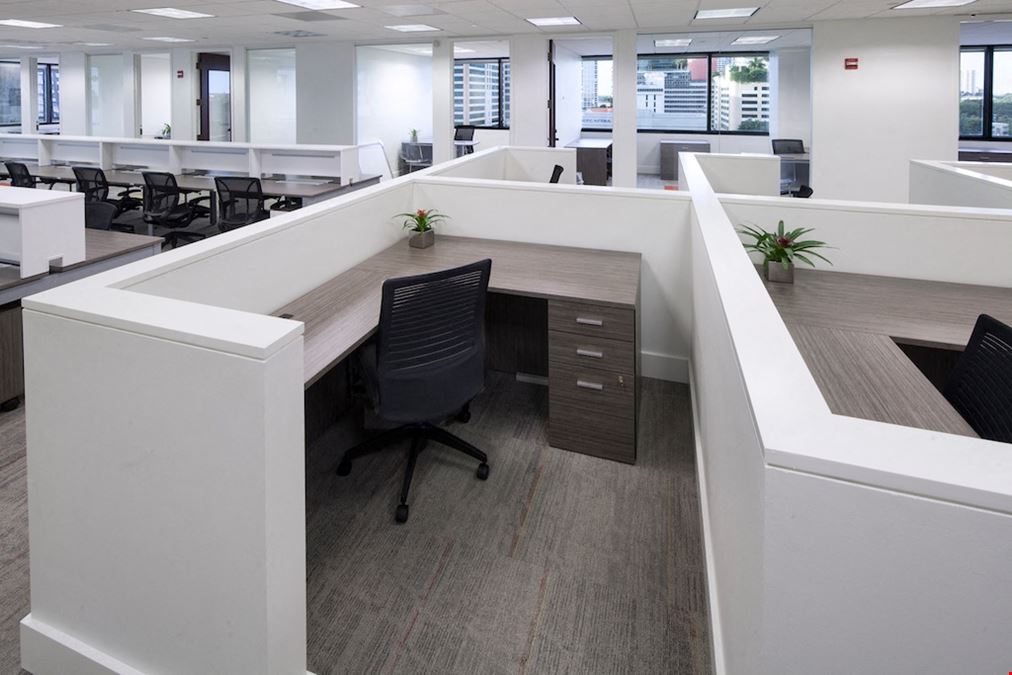 Group Office Space
