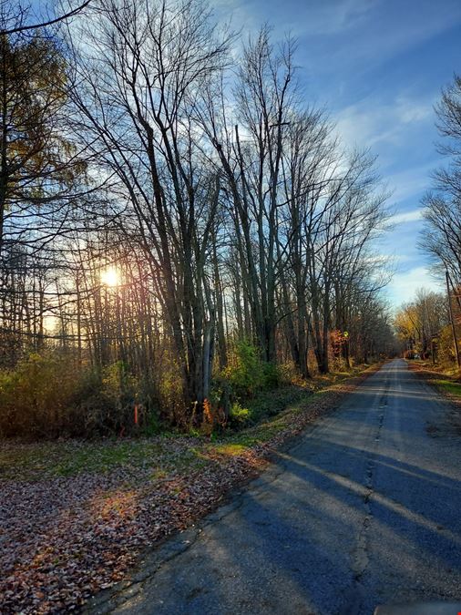 Vacant Lots on Magnolia Drive