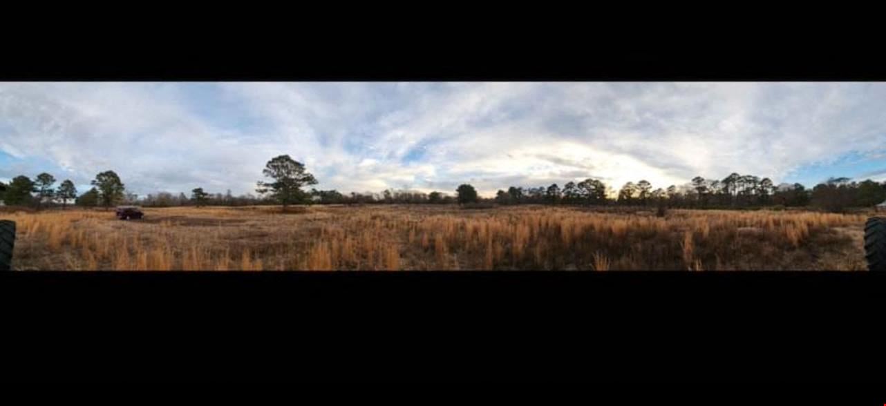 Seven(7) Different 10 acre lots in Wallace NC