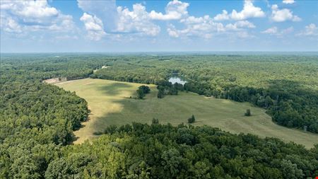 CHANDLER BRIDGE RD 719 ACRES