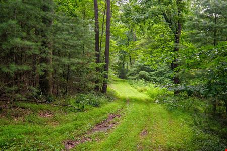 ADJOINING NATIONAL FOREST - 54.5 ACRE OFF-GRID MOUNTAIN RETREAT W/ CABIN