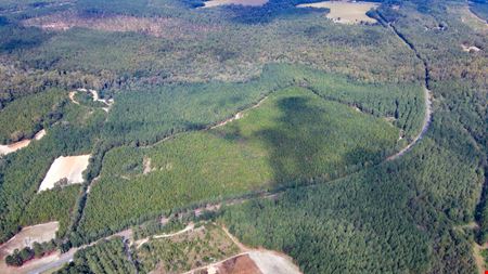 VacantLand space for Sale at Timber & Recreation Tract in Windsor