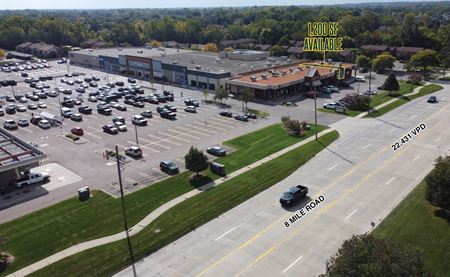 Retail space for Rent at Northridge Commons in Livonia