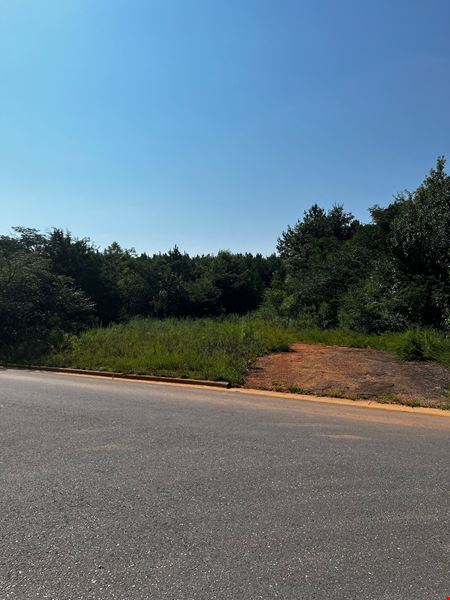 40 Acres For Lease or Sale Lincoln AL