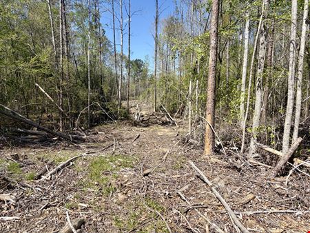 Georgiana Recreation Tract