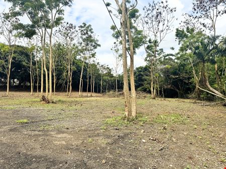 Outdoor Storage Lease Opportunity - Off Martinez Nadal Expressway @ Guaynabo