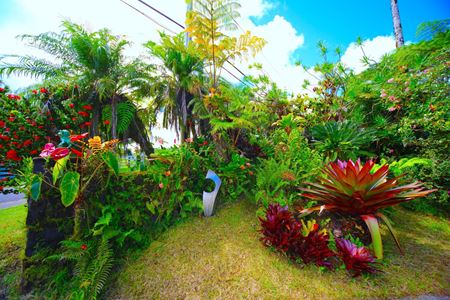 Unassigned space for Sale at House of Light Sanctuary in Hilo