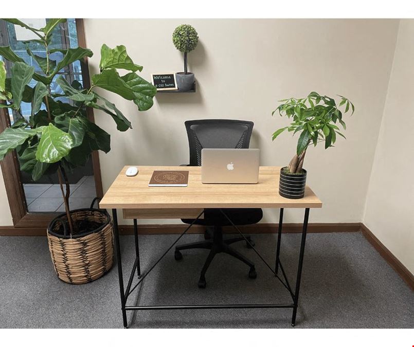 E-CEO Suites