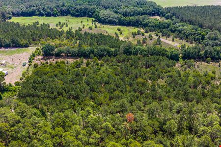 East Alachua County 35 Acre Recreation Tract