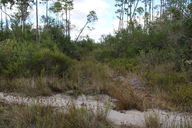 Bay County 213 Acres