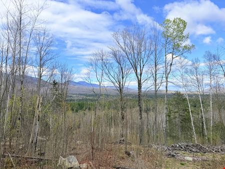 VacantLand space for Sale at Route 3 North, Carroll, NH (lots 43 & 46) in Carroll