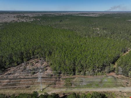 Palatka 356 Ac Development Tract