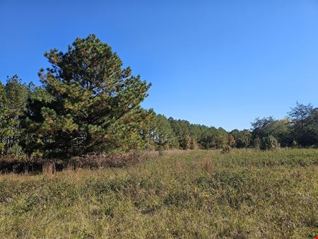 Mixed Use Prime Development Land