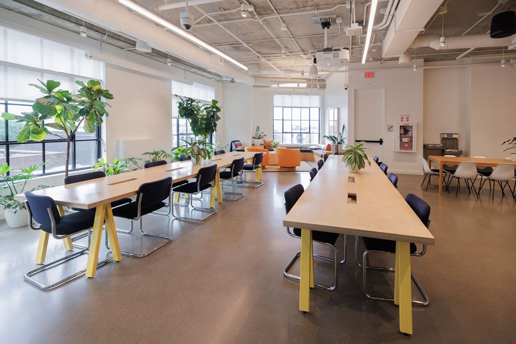 WeWork - 729 N Washington Ave