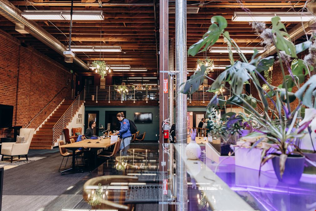 Trellis Coworking & Events
