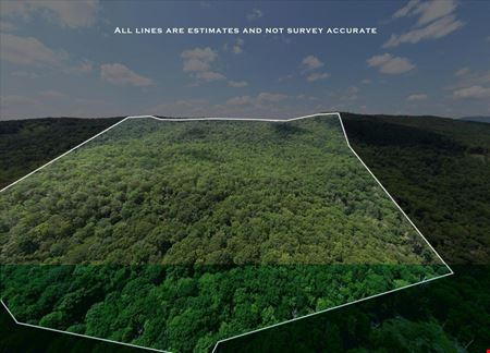 VacantLand space for Sale at 173 ACRES MOUNTAIN-SIDE LAND in Monterey