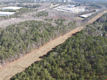 Posey Road - 70.4 Acres
