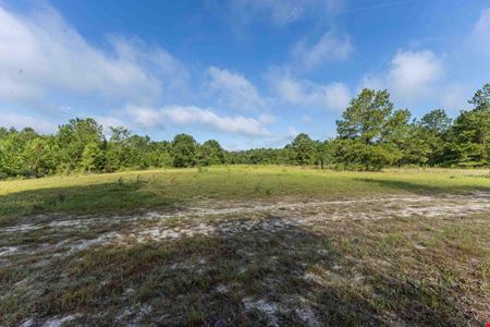 111+/- Acres of Recreational Tract Geared for Hunting on the Aiken and Barnwell County Line