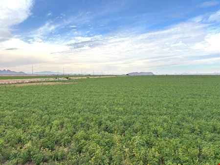 Commercial space at 400 Acre Pump Farm in Tacna, Avenue 41 E and County 7 St S in Tacna