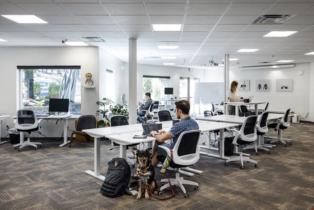 Cowork Tahoe - Untethered