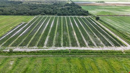 West Wauchula Farm